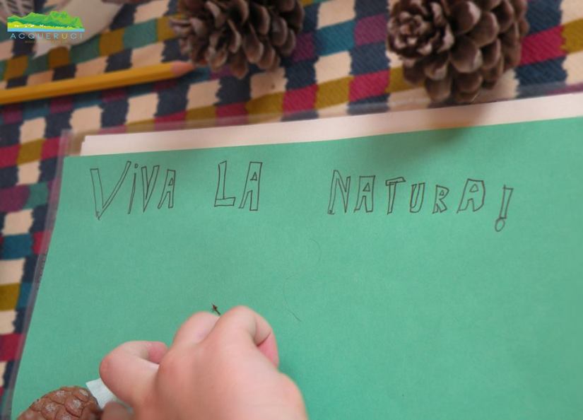 983734_816847788359546_7967027232370360252_n